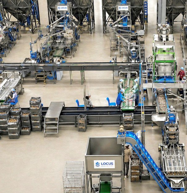 LOCUS cashew processing facility