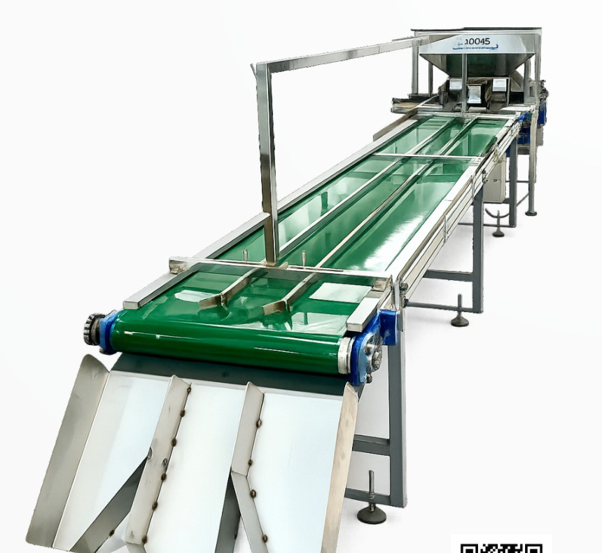 Cashew Kernel Packing System