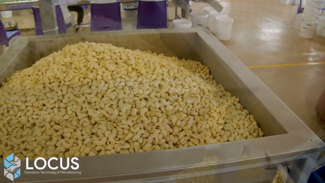 Locus 50 MT Raw Cashew Nut Processing Capacity Project - complete video