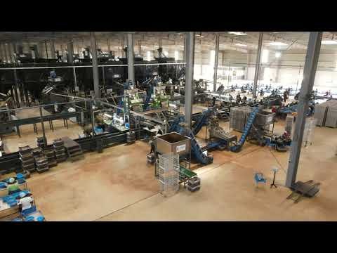 50 MT Raw Cashew Shelling and Separating System