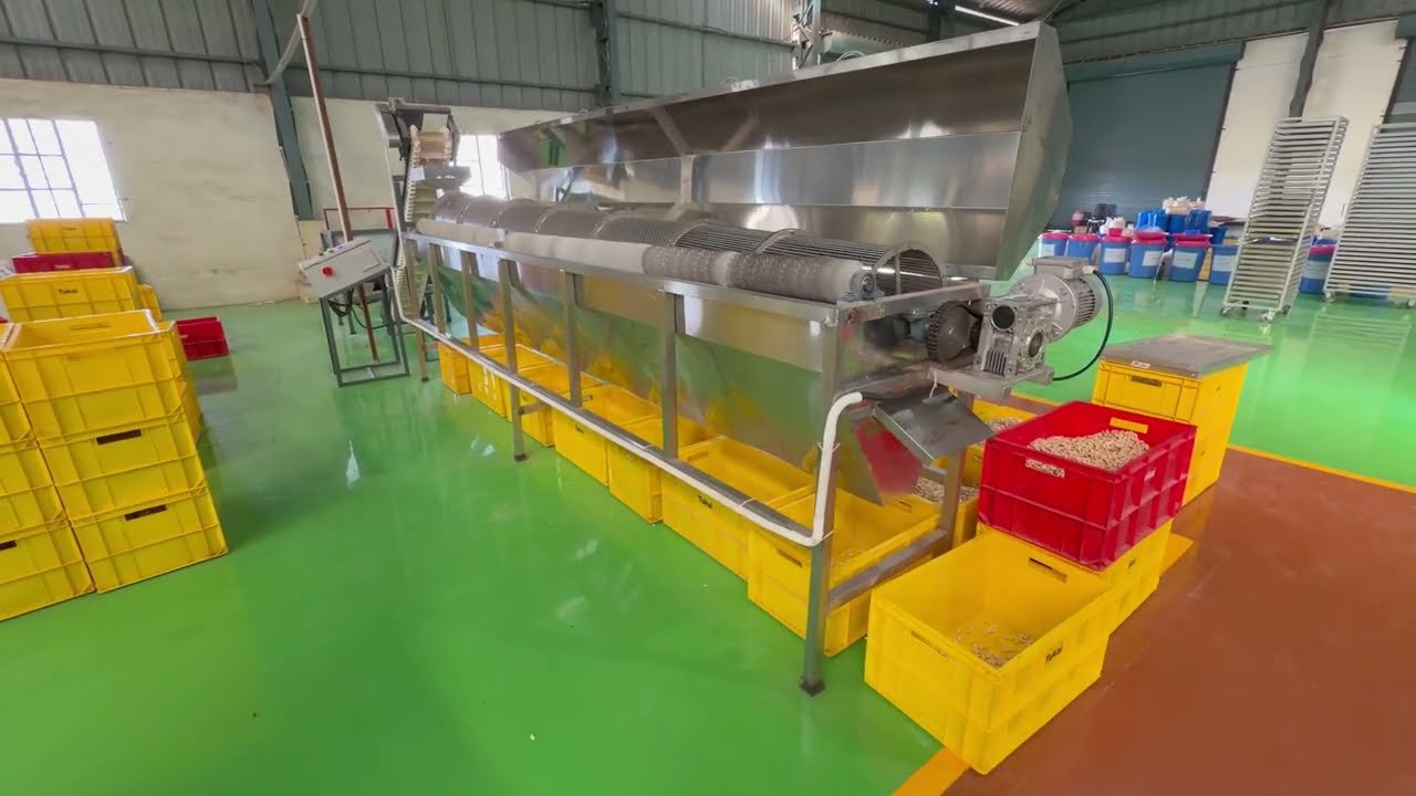 Locus Cashew Split Grading Machine
